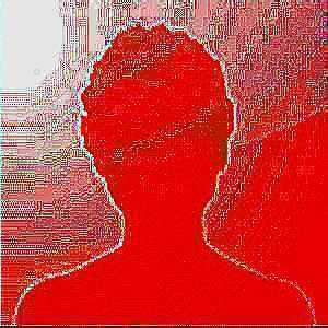 anonpl
