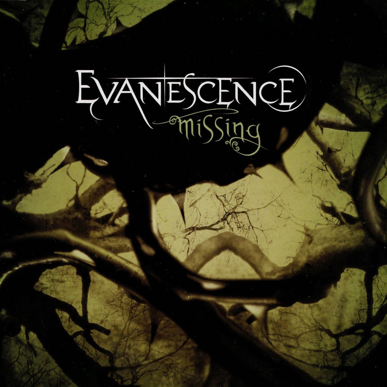 Evanescence - Missing