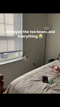 toe beans and everything